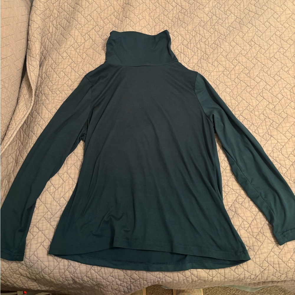 Green Madison Michelle turtleneck shirt Size Large